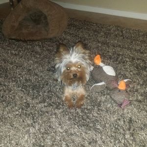 Meet your Posher, Anna